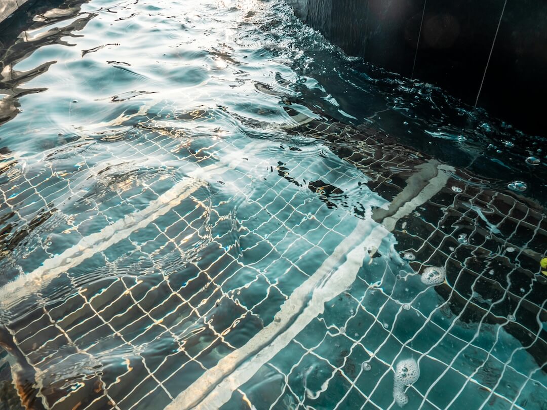 Avoiding Common Pitfalls in Pool Sanitizing Image